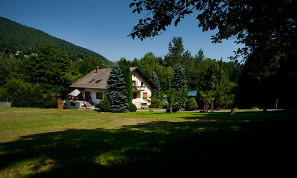 Vue du gite du Scnheethal depuis la foret de Wangenbourg en Alsace